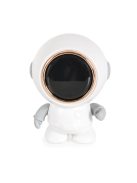 WOLLIE hőmérő, vízálló, elektromos